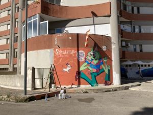 Foto di Giovanna Spagnolo - ARCA Sud Salento