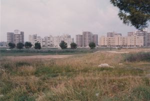 Foto di Giovanna Spagnolo - Archivio Iacp Lecce