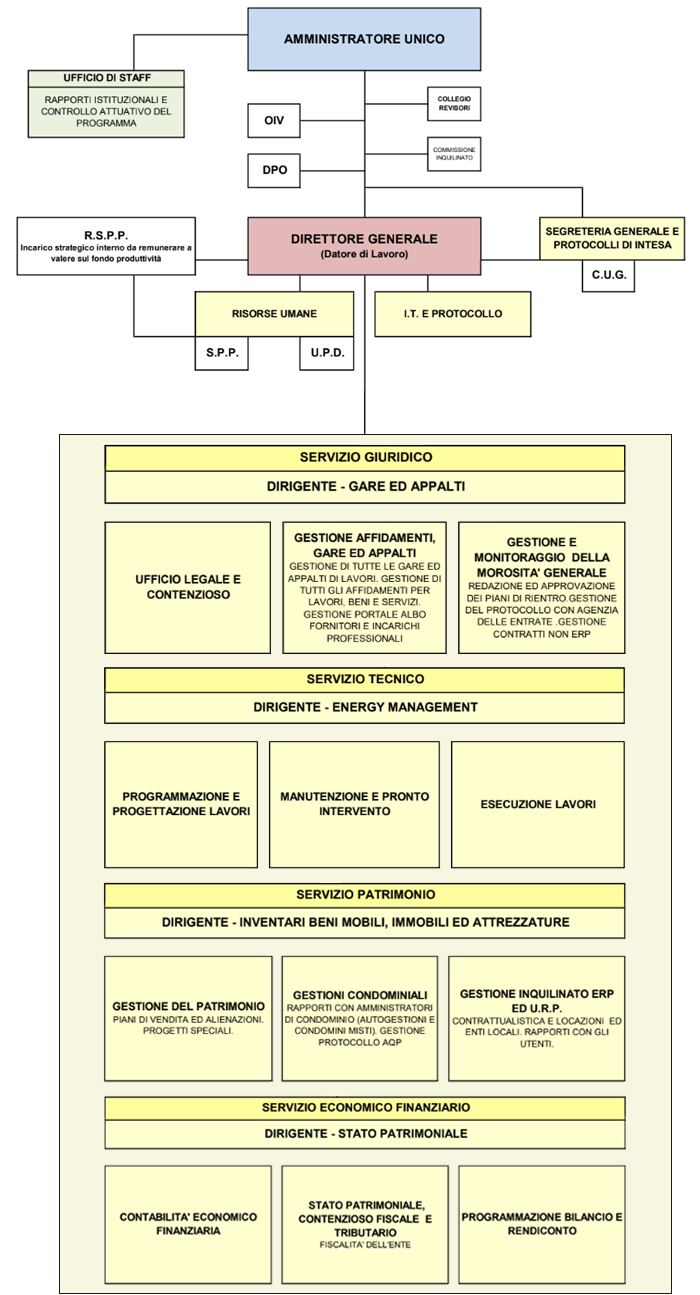 Organigramma